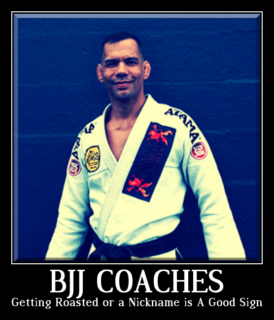 Jiu Jitsu Coach